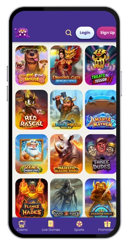 SlotMonster Casino partner